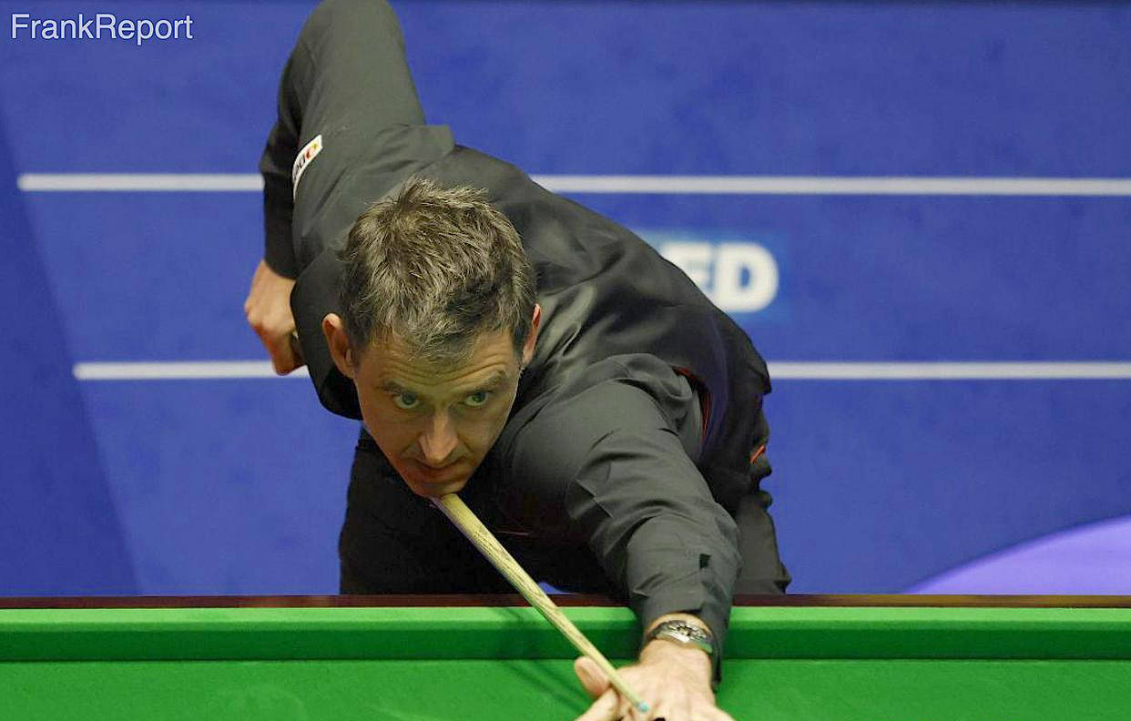 经验丰富的 经验丰富的