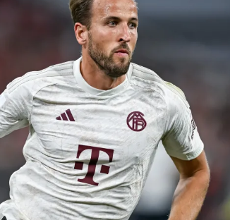 所有猜测终 所有猜测终